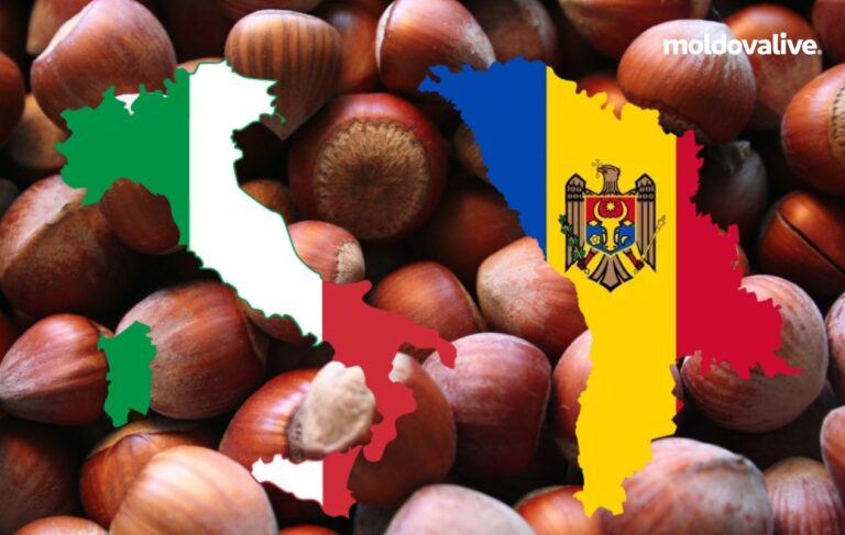 A premiere for Moldova! The first lot of hazelnuts was exported to Italy