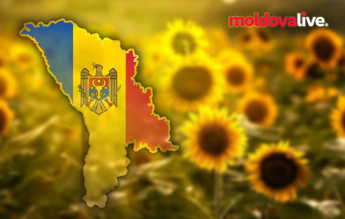 moldova sunflower seeds export eu
