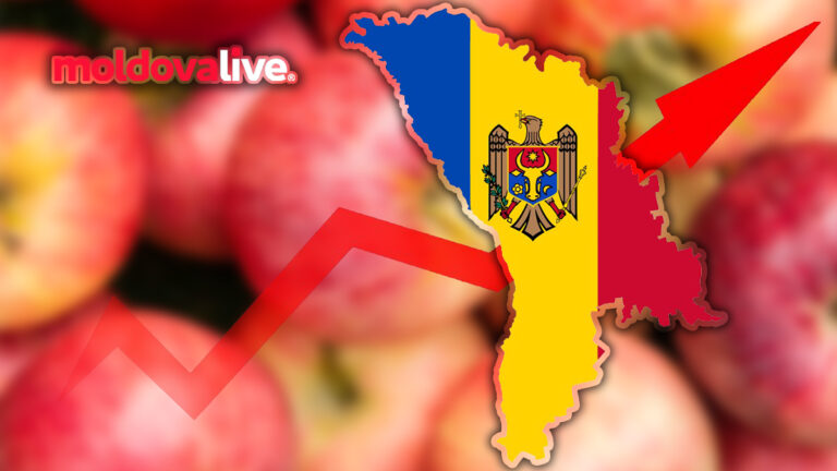 Moldova Boosts Apple Exports to 90,000 Tons Despite April Decline