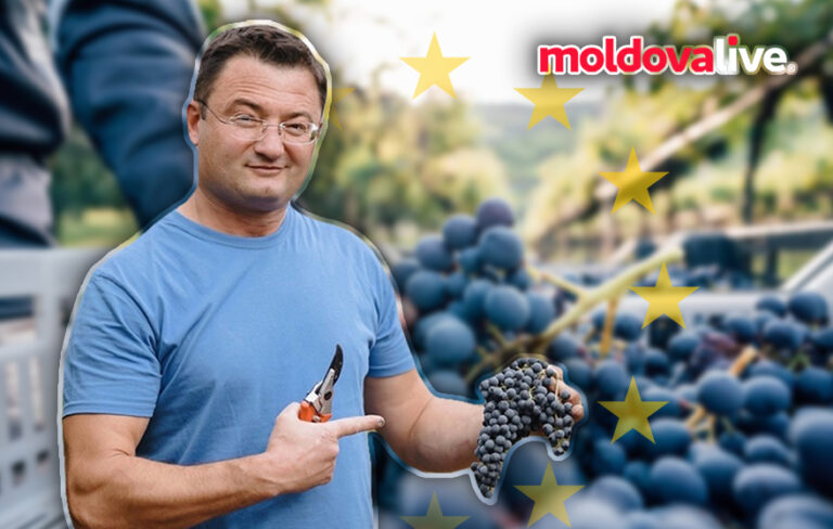 From Vineyards to Virtual Cellars: The Digital Transformation Journey of Rizov Family Winery in Taraclia