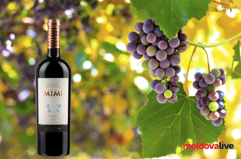 Moldovalive recommends! Top-3 wineries in Moldova must visit