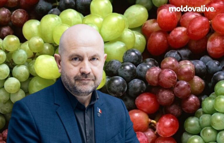 The food and Agriculture Organization of the United Nations will provide financial support to producers of table grapes from the Republic of Moldova