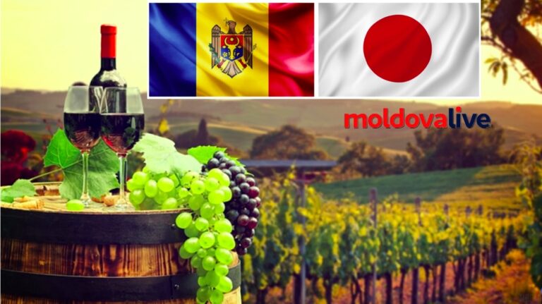 Photo The Secretary General of the Ministry of Agriculture and Food Industry has departed for Tokyo: Moldovan wines should be introduced to the Japanese market