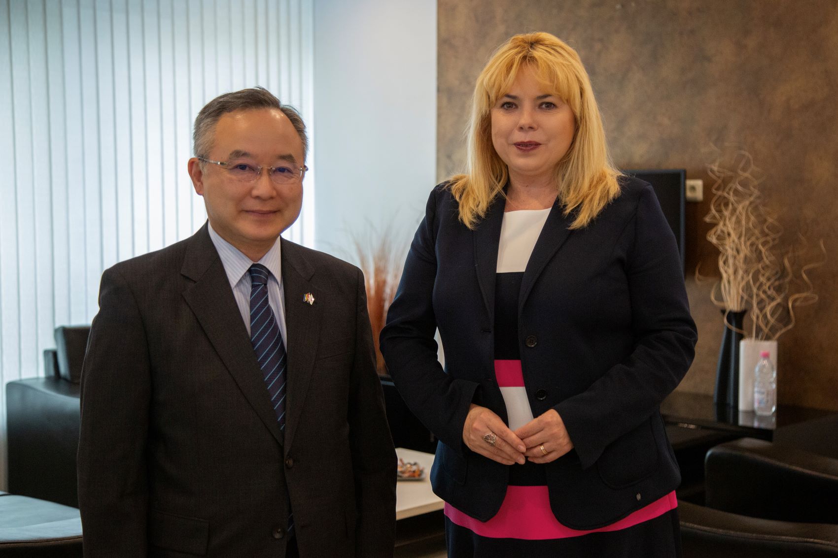 NBM Governor Anca Dragu met with the Japanese Ambassador to Moldova: what was on the agenda?