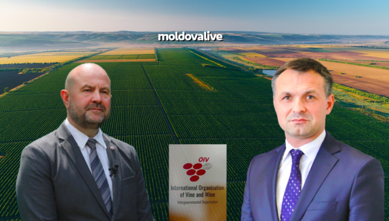 Photo Deputy Prime Minister Vladimir Bolea and State Secretary Andrian Digolean visited Verona