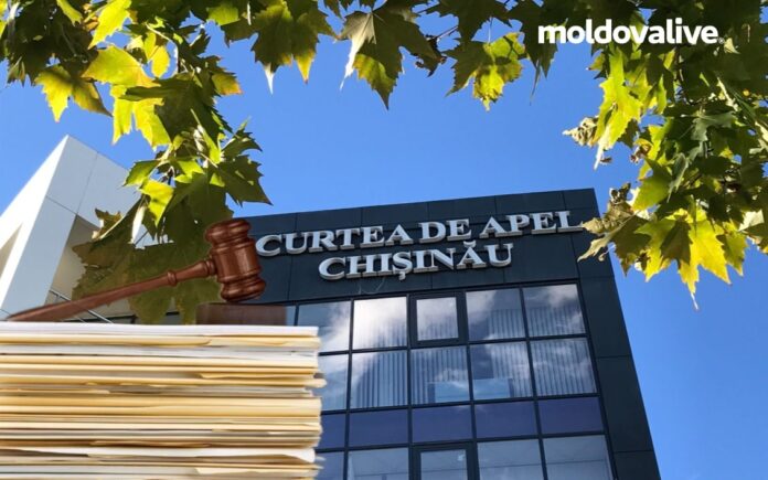 judge
