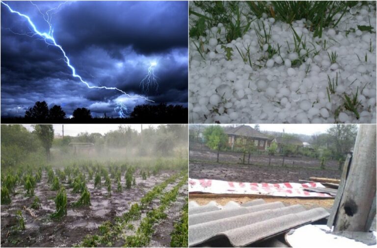 Damage due to bad weather. Heavy rain and hailstones have damaged hundreds of hectares in Moldova