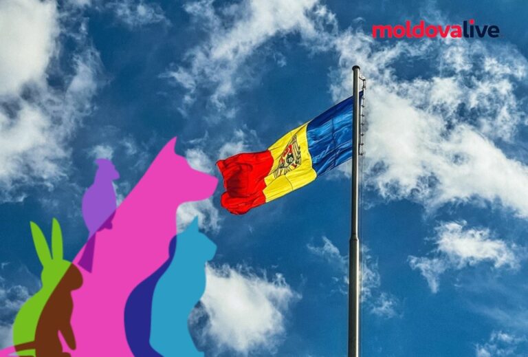 Moldova to join the European Convention for the Protection of Domestic Animals