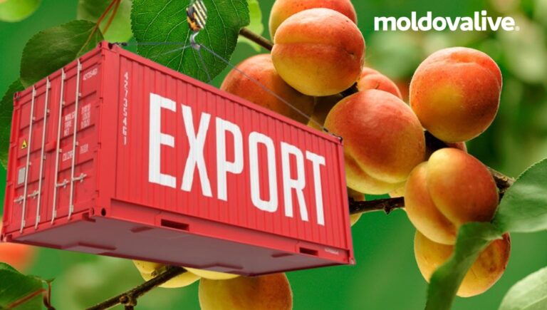 Moldova Sets Record with 12,000 Tons of Apricot Exports, over 83% to the European market