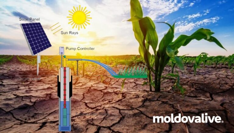 (VIDEO) Drought challenges farmers and the government. Irrigation with sensors and lakes with photovoltaic panels will be installed in Moldova