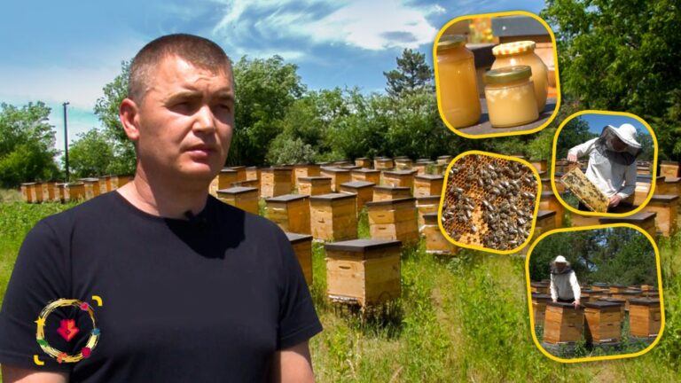 (VIDEO) Sweet business in Leova. Young man Andrian Popa returned from abroad to become a beekeeper
