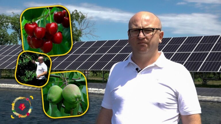(VIDEO) Victor Scutaru from Edinet built a photovoltaic park for his 80 ha of modern orchards