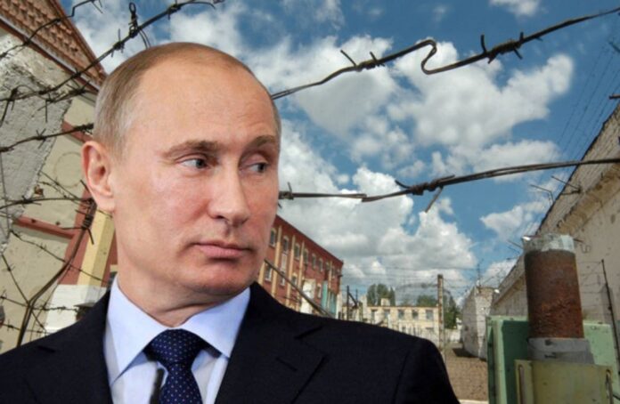 putin