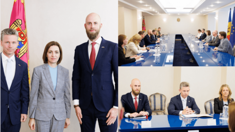 President Sandu met with the Defense Ministers of Sweden. What topics were discussed