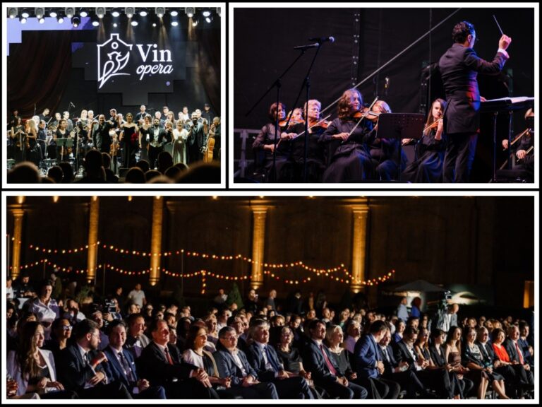 Cristina Frolov, President of the Constantin Mimi Foundation: “We need to return to our roots and invest in rural areas”