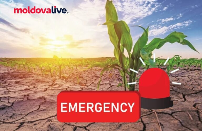 Moldova’s farmers asked Maia Sandu and Igor Grosu to declare a state of emergency because of the drought