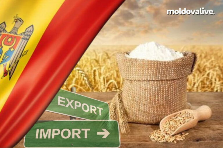 Who controls the barley export market in the Republic of Moldova?