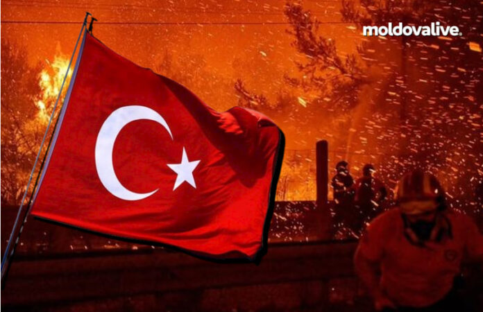 turkey