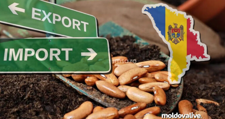 Bean imports in Moldova have surged, exceeding exports by more than 2.3 times