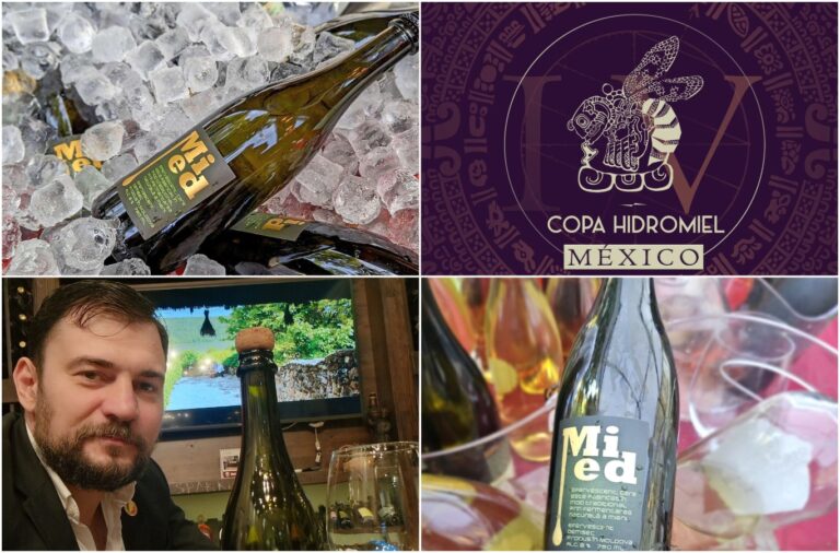 Moldovan Mead Wins Gold at Copa del Hidromiel 2024 in Mexico