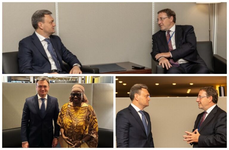 The prime minister discussed projects in Moldova supported by UNDP and UNFPA with their leadership