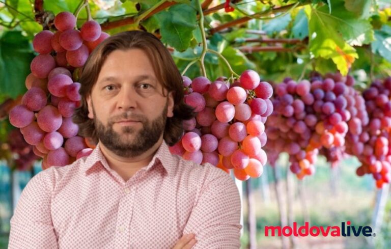 Exports of table grapes from Moldova to the EU have increased by 125% in eight months of this year