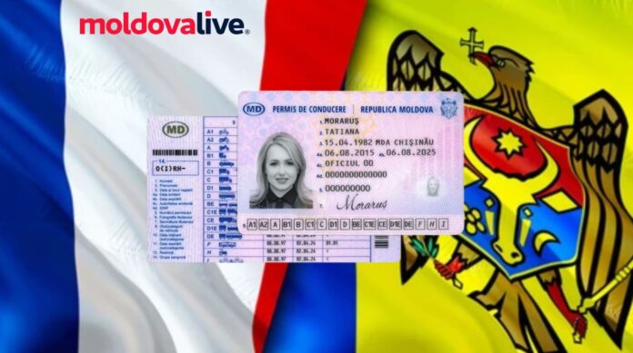 driving license (2)