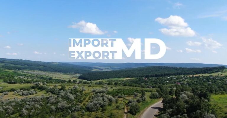 Realitatea Press Group documentary – “Import/Export MD,” selected within the CHANGE program