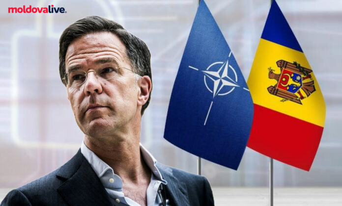 Mark Rutte