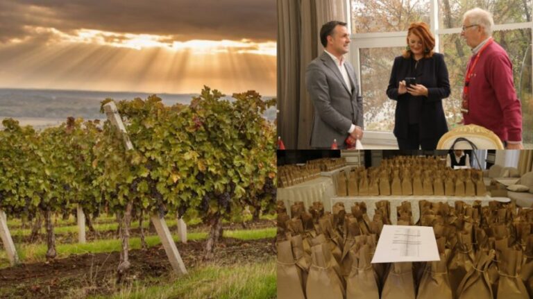 National Competition: Experts from Seven Countries Gather in Chisinau to Select Moldova’s Best Wines