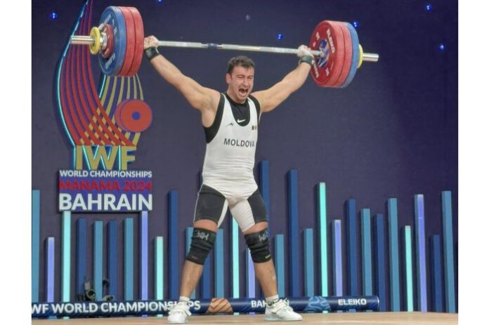 24010233_big1733996185