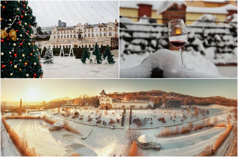 Discover the best Moldovan wineries this winter