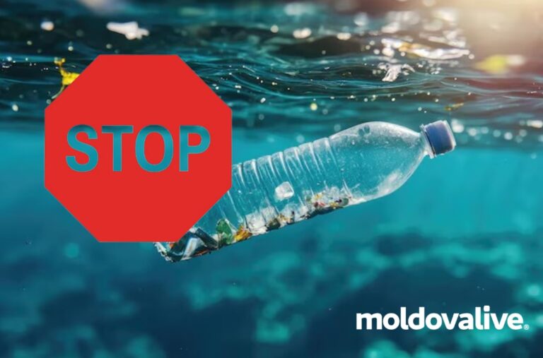 Moldova joins the international fight against plastic pollution by promoting a global treaty