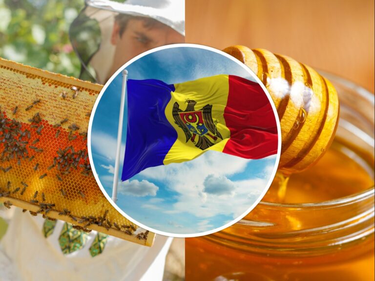 Moldova Honey Awards 2025: The First National Competition for Beekeepers