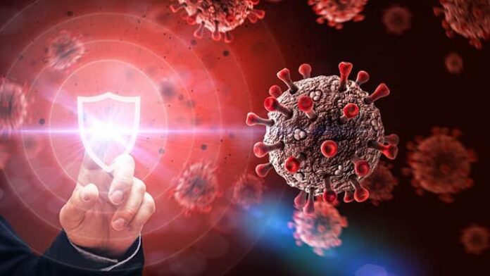 computervirus-710x400px-300dpi-q75
