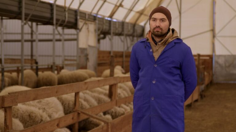 The Mioritic Motif Turned into a Successful Business with the Help of the PARE 1+1 Program