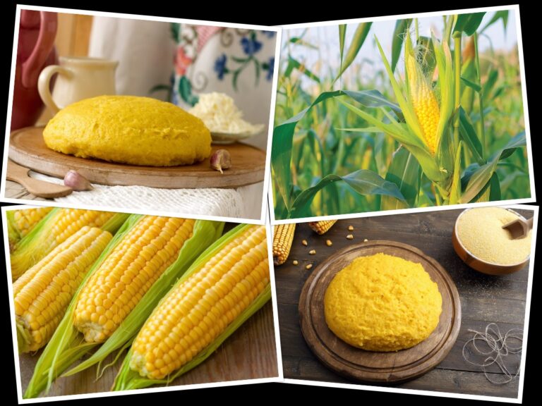 Discover Moldova: The Rich History of Mamaliga in National Cuisine