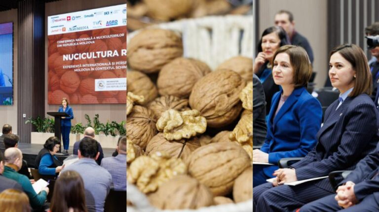 Moldova ranks among the top 10 global producers and exporters of walnuts. Maia Sandu thanks farmers