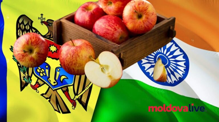Moldovan Apple Producers Gain Free Access to the Indian Market