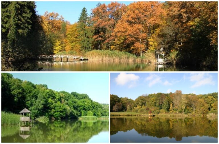 Discover Three Largest Nature Reserves in Moldova