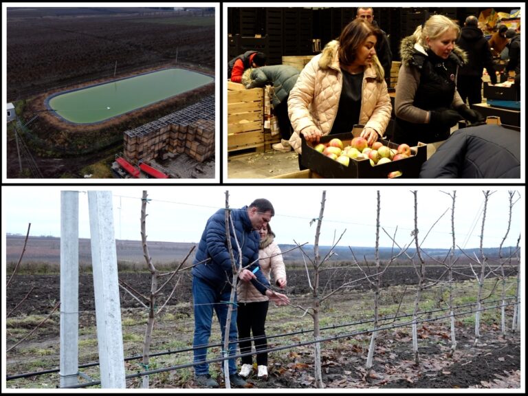 Northern Moldovan Entrepreneur Saves Orchards with EU and Government Support