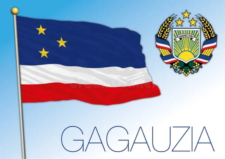 The Parliamentary Working Group on Gagauzia