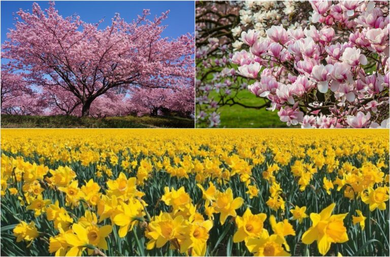 Spring in Moldova: 7 Breathtaking Places to Visit in April