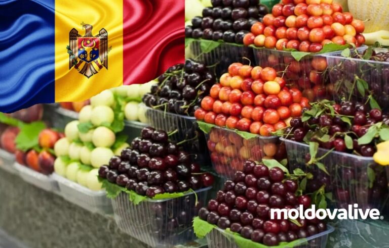 Over 520 Farmers Participated in the First Edition of AgroFin Moldova – The Financiers’ Fair for Agriculture