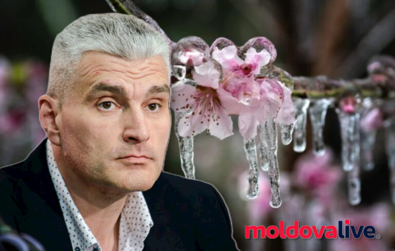 High risks for agriculture due to frost: The sugar beet, wheat, and rapeseed harvests may decrease