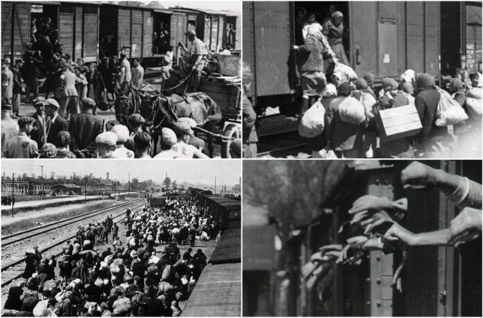 deportation
