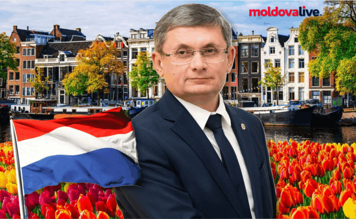 igor grosu netherlands