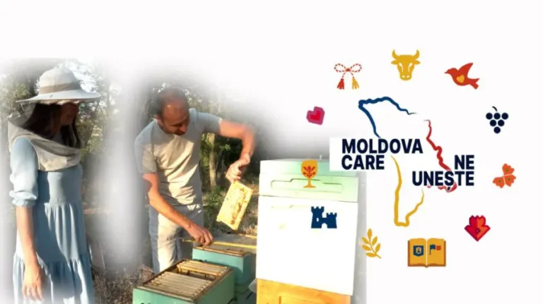 (VIDEO) Beekeeping Passed from Father to Son – How the Miron Couple Keeps Their Family Tradition Alive