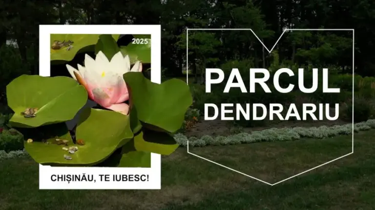 Dendrariu Park – a place renowned for its rich collection of plants and beautiful landscaping
