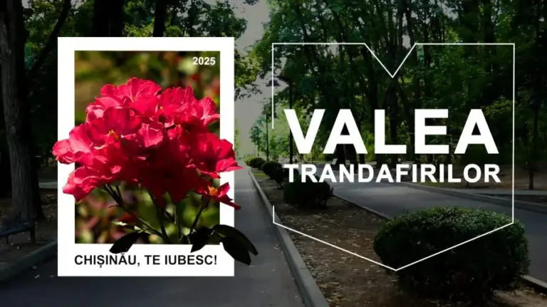 Valea Trandafirilor Park – one of the most beautiful parks in the city